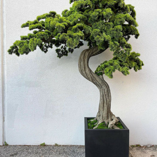 Grand bonsaï artificiel – Bloc M