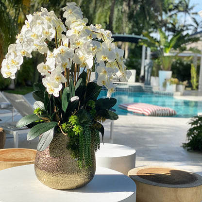 Vase Delaney doré avec plusieurs tiges d’orchidées Phalaenopsis et de plantes succulentes