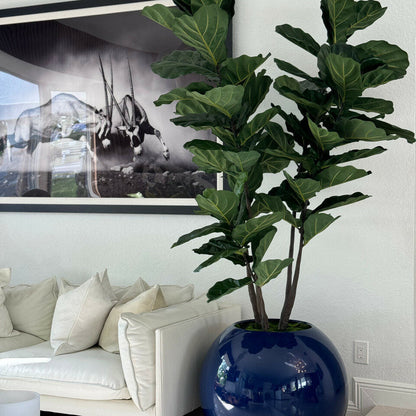 Vase Globe Bleu 76 cm avec Figuier Lyre
