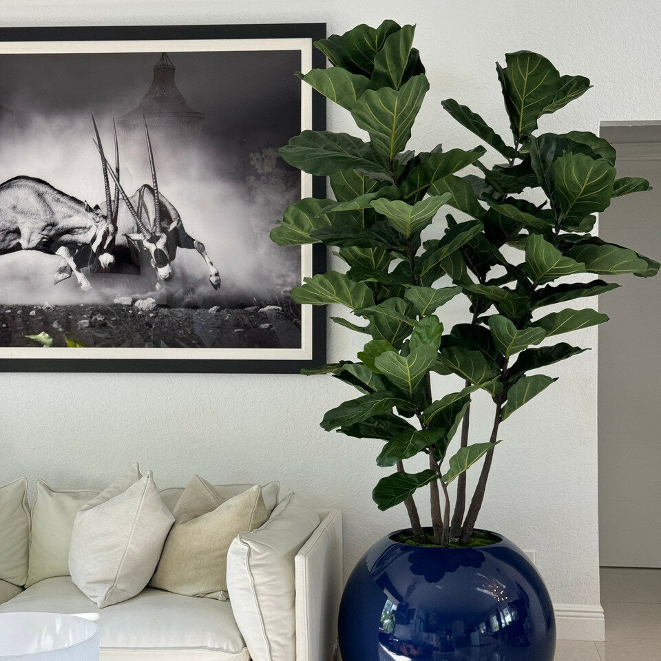 Vase Globe Bleu 76 cm avec Figuier Lyre