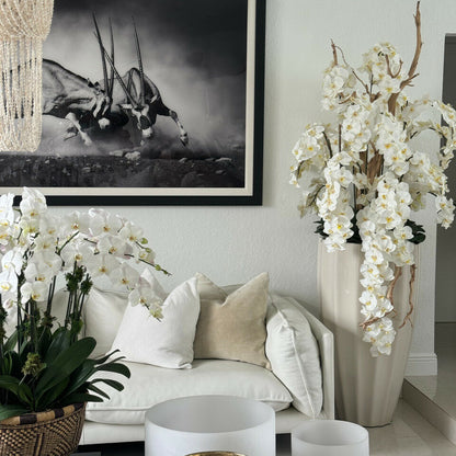 Vase San José beige sable avec orchidées blanches en cascade